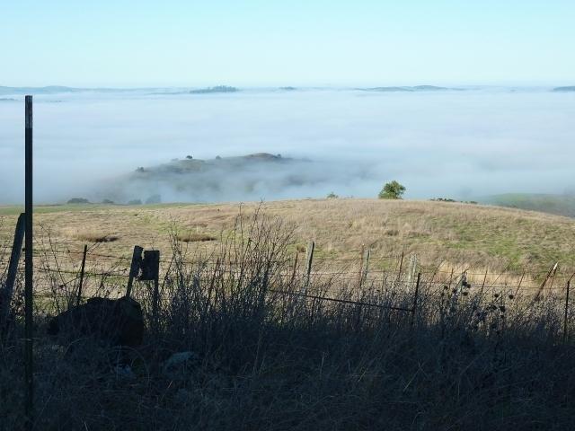 Looking down on a sea of fog